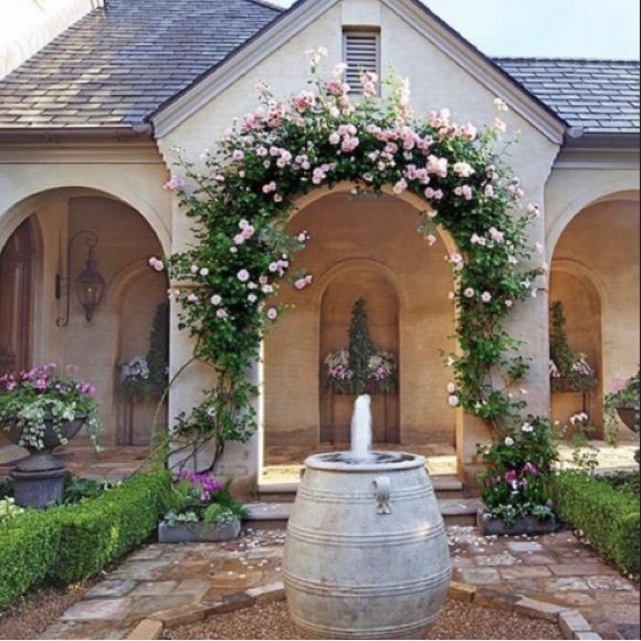 LIKE TO BE NOTIFIED WHEN I GO LIVE - Picture 3 of 6